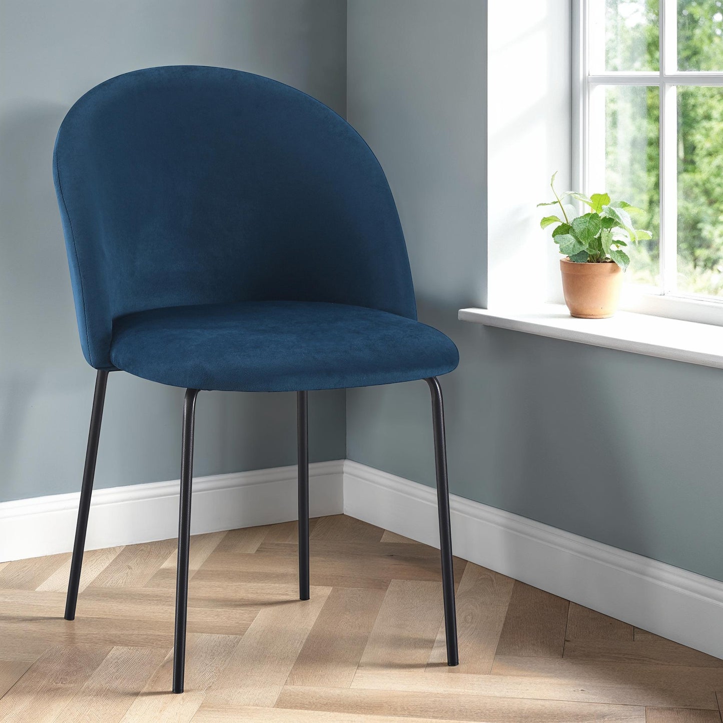 Boston Dining Chair (X4 Per Box) - Sapphire Blue Velvet